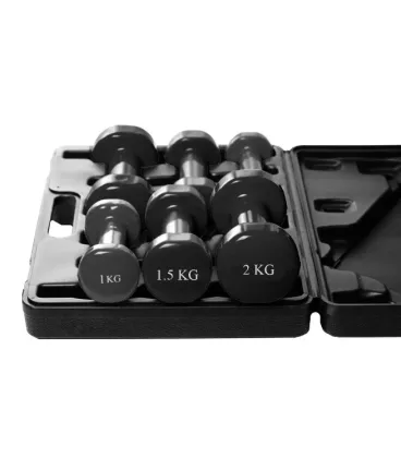 Набір гантелей в кейсі 9 кг. PowerPlay 4121 Fitness Dumbells (2шт.*1кг. 2шт.*1,5кг. 2шт.*2кг.)