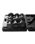 Набір гантелей в кейсі 9 кг. PowerPlay 4121 Fitness Dumbells (2шт.*1кг. 2шт.*1,5кг. 2шт.*2кг.)