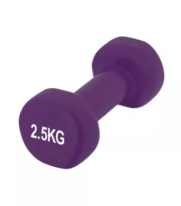 Гантель вінілова PowerPlay 4125 Achilles 2.5 кг. Фіолетова (1шт.)