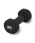 Vinyl dumbbell PowerPlay 4125 Achilles 2 kg. Black (1 pc.)
