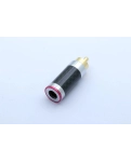 RCA разъем AirBase NA1027 Silver Gold (пара)