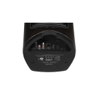 Активна акустика Sonus Faber Duetto Graphite