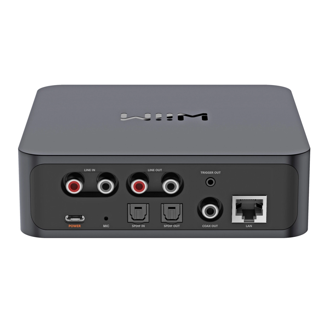 Мережевий програвач WiiM Pro Plus