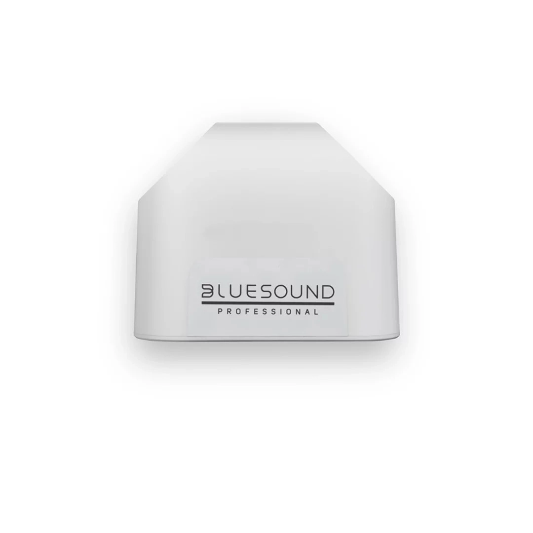 Активна акустика Bluesound BSP125 White Активна акустика Bluesound BSP125 White