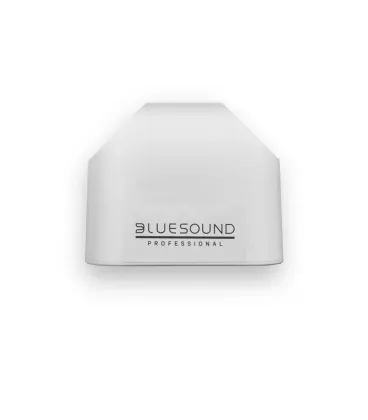 Активна акустика Bluesound BSP125 White