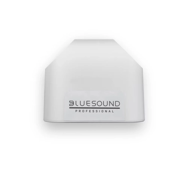 Активна акустика Bluesound BSP125 White