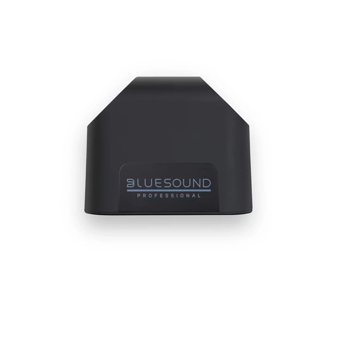 Активна акустика Bluesound BSP125 Black Активна акустика Bluesound BSP125 Black