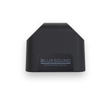 Активна акустика Bluesound BSP125 Black
