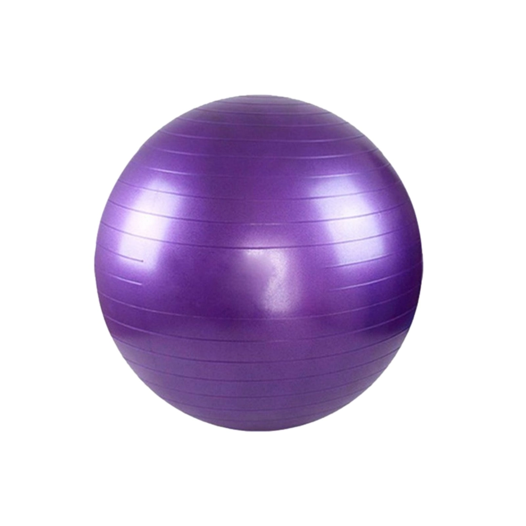 Fitball fitness ball GymBall 65 cm with pump purple