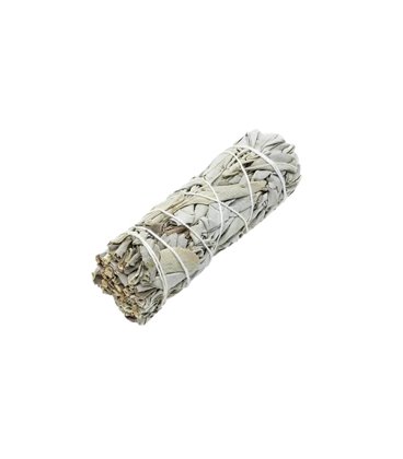 Каліфорнійська біла шавлія White Sage для обкурювання пучок 10 см 30-40 г