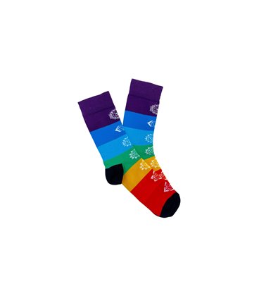 Шкарпетки RAO Йога 7 Чакр (39-41) кольорові