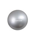Фітбол м'яч для фітнесу ProfiBall 65 см без сірого насоса
