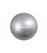 Фитбол мяч для фитнеса ProfiBall 55 см серый