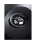 Acoustic system Canton InWall 849 LCR