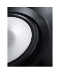 Acoustic system Canton InWall 849 LCR