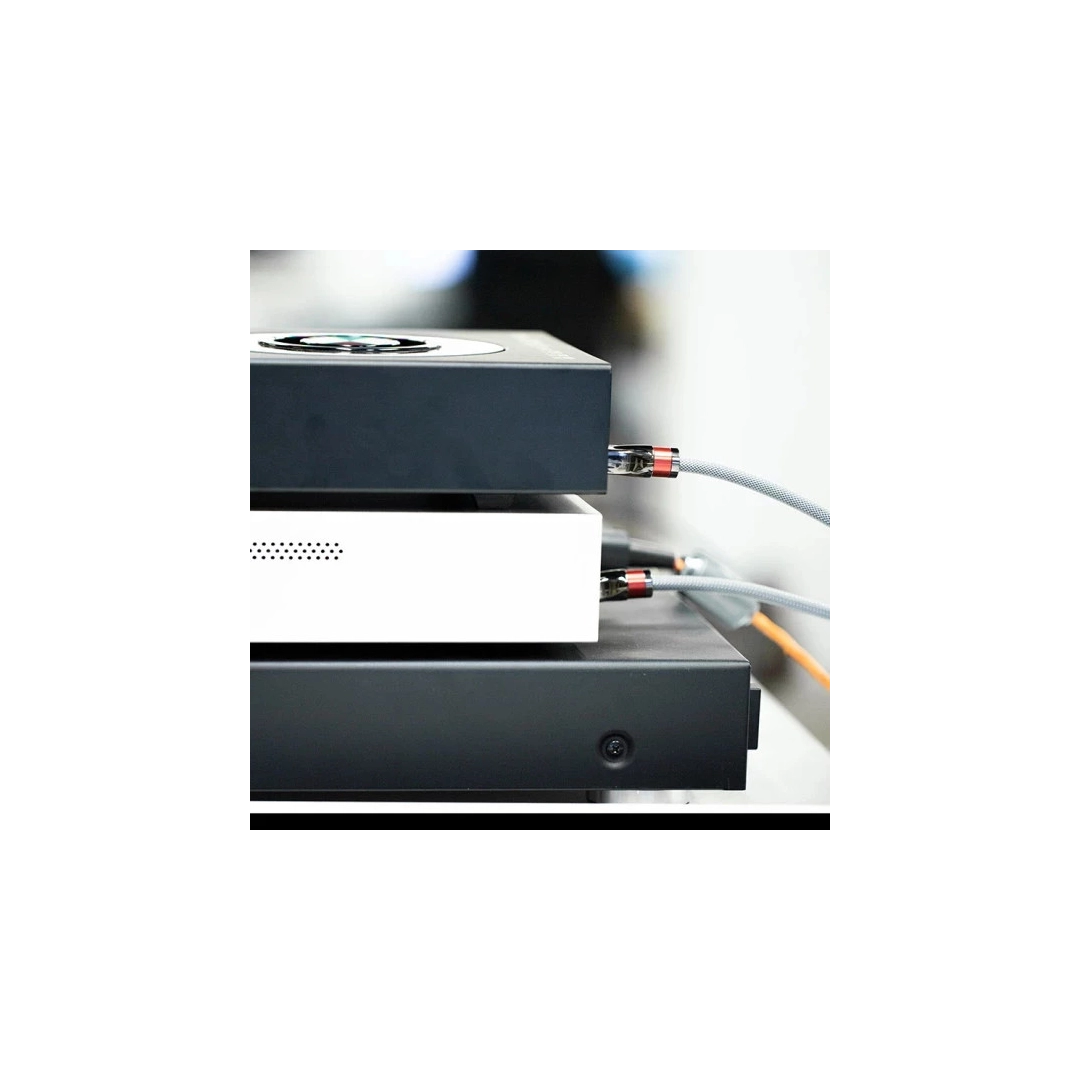 Кабель цифровий Shanling L8 I2S to I2S Cable