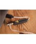 iFi GO link DAC and amplifier Black