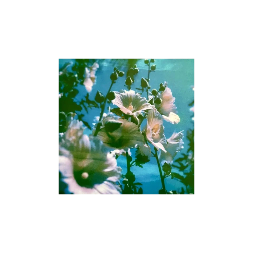 Вінілова платівка LP2 Lana Del Rey: Did You Know That Вінілова платівка LP2 Lana Del Rey: Did You Know That