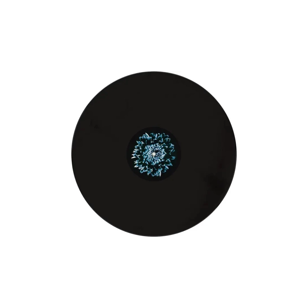 Вінілова платівка LP2 Rammstein: Herzeleid Вінілова платівка LP2 Rammstein: Herzeleid