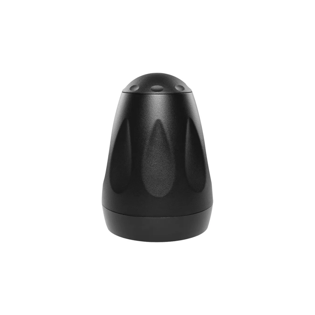 Підвісна акустика NEXT Audiocom P6 Black Підвісна акустика NEXT Audiocom P6 Black