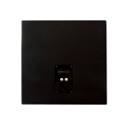 Сабвуфер TruAudio BP-SUB-12, що вбудовується в стелю.