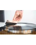 Audio Anatomy Oak Wood Brush Black