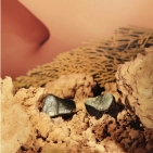 Навушники Shanling ME800 Brown Навушники Shanling ME800 Brown