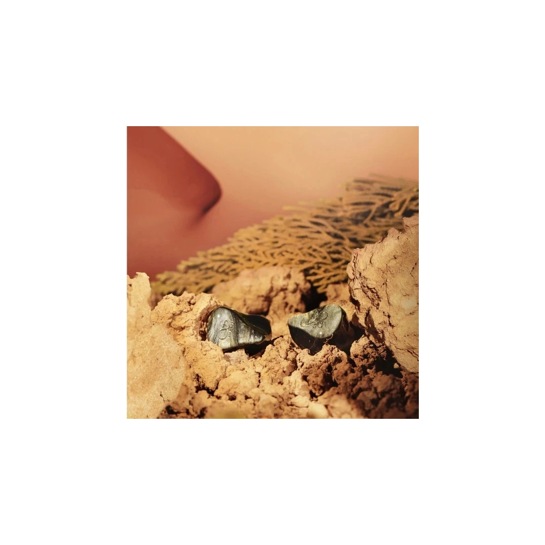 Навушники Shanling ME800 Brown Навушники Shanling ME800 Brown