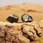 Навушники Shanling ME800 Brown