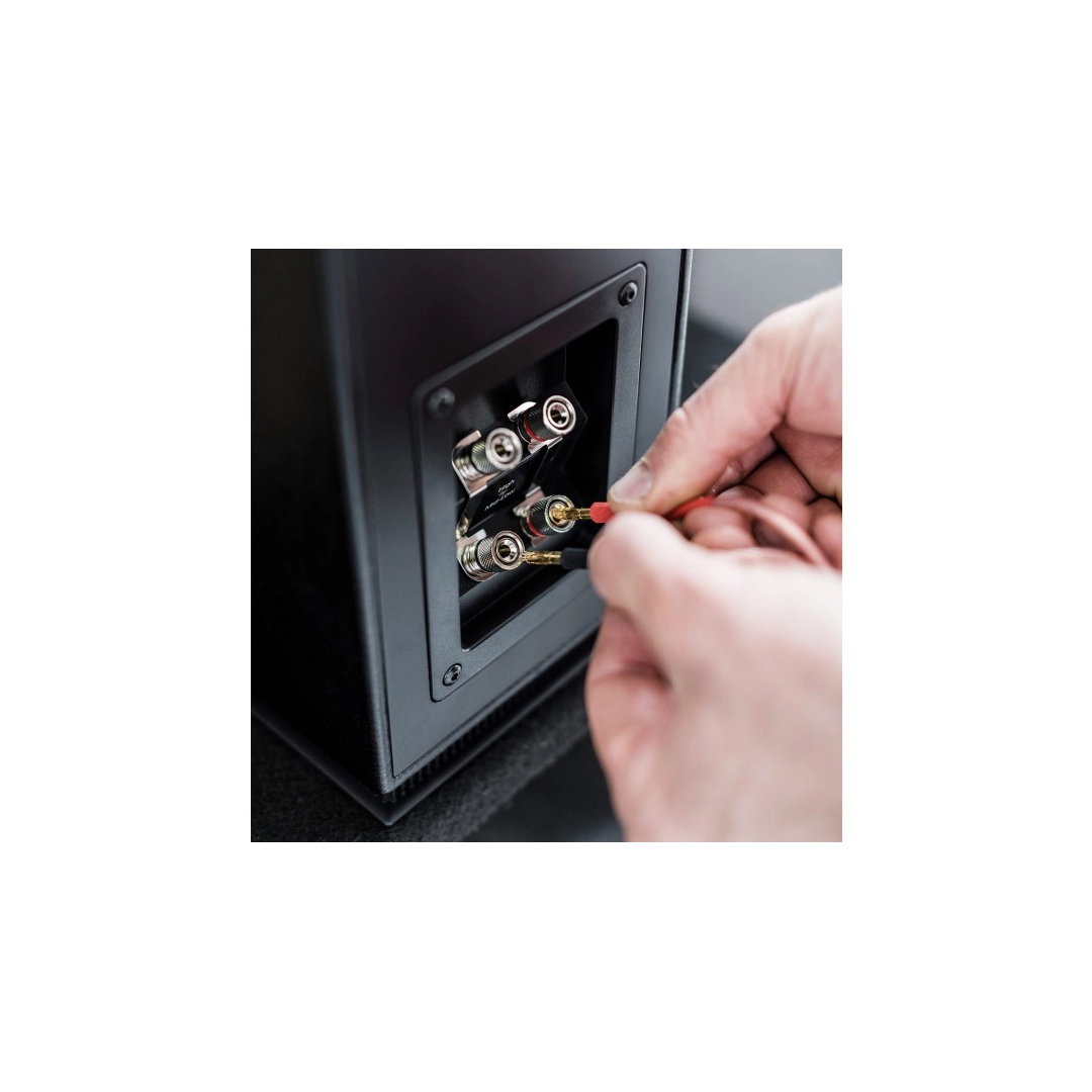 Акустика Sonus Faber Lumina II