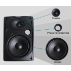 DSPPA DSP8064W Настінна колонка потужністю 40Вт білого кольору