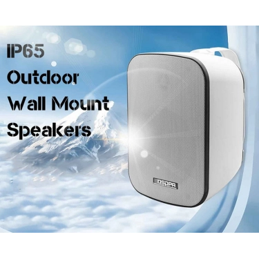 DSPPA DSP5040W 40Вт Водонепроникний вуличний настінний динамік IP65 білого кольору
