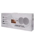 DSPPA M2W - compact, frameless, ceiling loudspeaker system