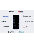 DSPPA DW01 Media Player Smart Wi-Fi Streaming Audio Preamplifier with Bluetooth