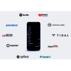 DSPPA DW0235 Мережевий аудіоплеєр з підсилювачем 2*35Вт на 4Ом потокового аудіо з Wi-Fi та Bluetooth 5.0 для стримінгу