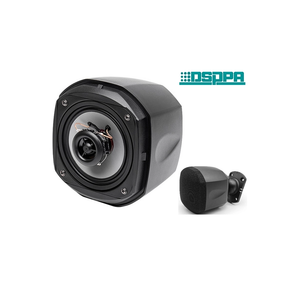 DSPPA DSP129B Мініатюрний коаксіальний динамік потужністю 20Вт\100В