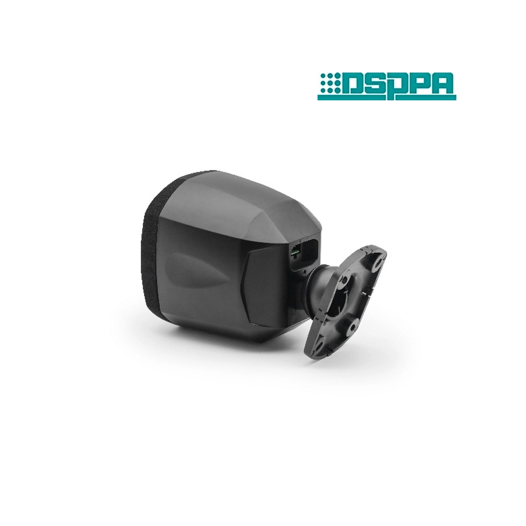 DSPPA DSP129B Мініатюрний коаксіальний динамік потужністю 20Вт\100В