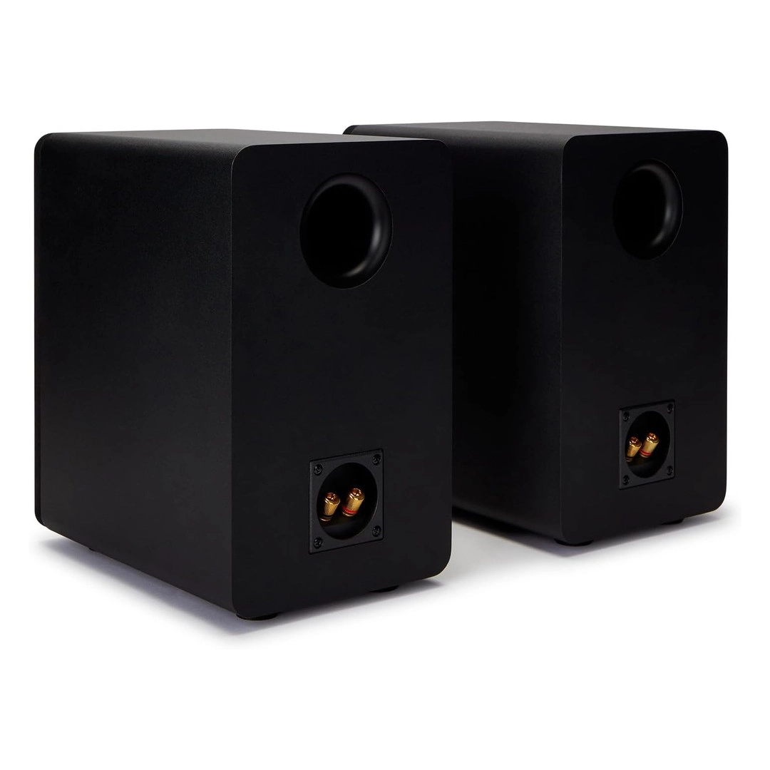 Акустика Aiwa SP-A100