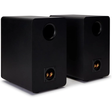 Акустика Aiwa SP-A100