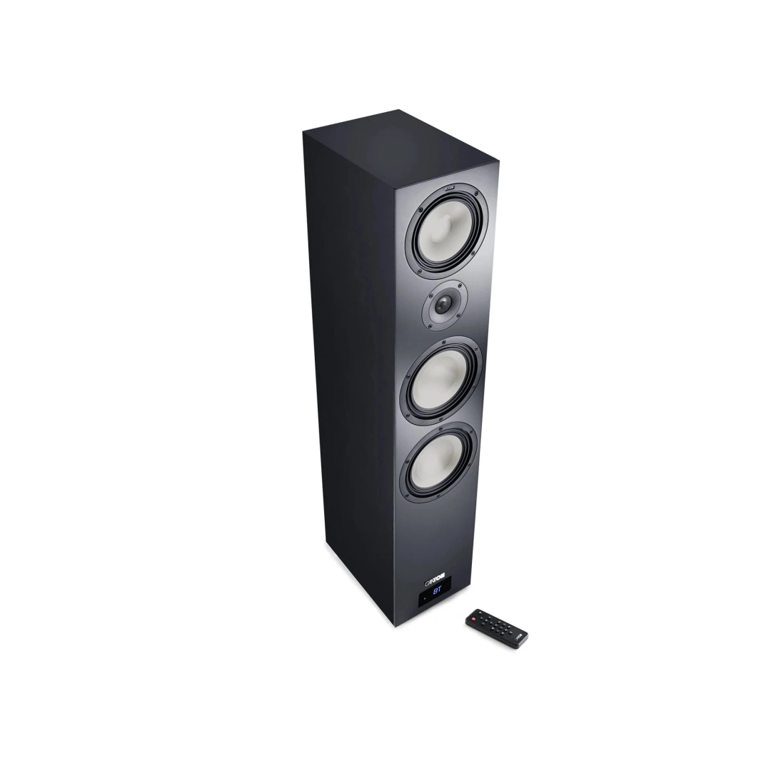 Акустика Canton Smart GLE 9 S2 Black Акустика Canton Smart GLE 9 S2 Black