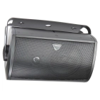 Акустика Definitive Technology AW 6500 Black