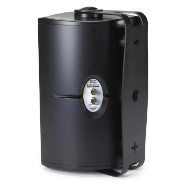 Акустика Definitive Technology AW 6500 Black