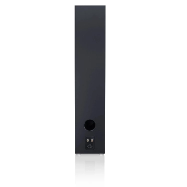 Підлогова акустика Canton GLE 100 Black