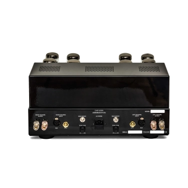Стерео підсилювач Cary Audio CAD-120S MKII Black
