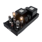 Підсилювач потужності Cary Audio CAD-211FE (PAIR) Black