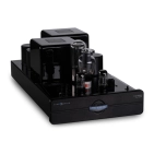 Підсилювач потужності Cary Audio CAD-805RS (PAIR) Black