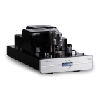 Підсилювач потужності Cary Audio CAD-805RS (PAIR) Silver