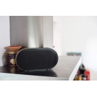 Портативна Bluetooth колонка DALI Katch G2 Iron Black
