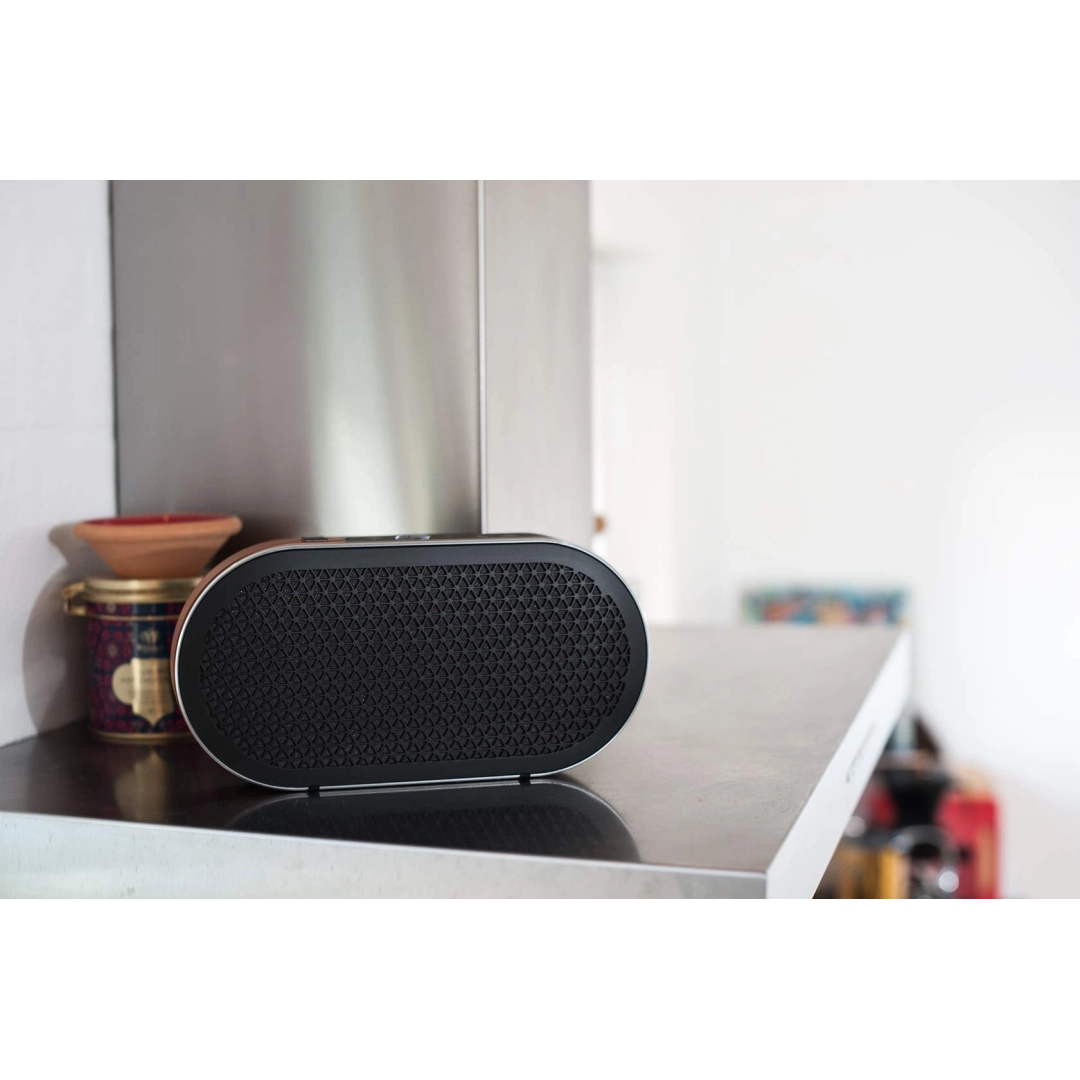 Портативна Bluetooth колонка DALI Katch G2 Iron Black
