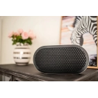 Портативна Bluetooth колонка DALI Katch G2 Iron Black